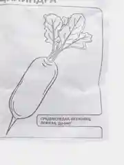 Свекла Цилиндра белый пакет 3 г (семена)