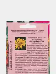Семена, лигулярия "Черный пурпур"