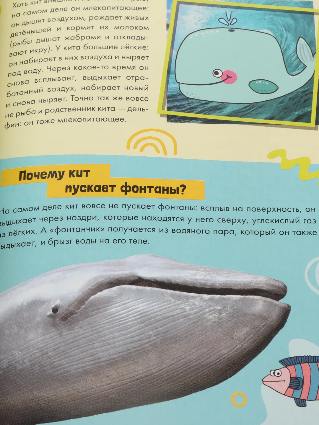 S Набор обучающих книг "Как, зачем, почему? Мир, человек и общество", 2 штуки