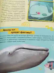 S Набор обучающих книг "Как, зачем, почему? Мир, человек и общество", 2 штуки