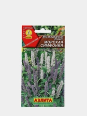 Мята Лофант Морская симфония (семена)