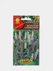 Мята Лофант Морская симфония (семена)