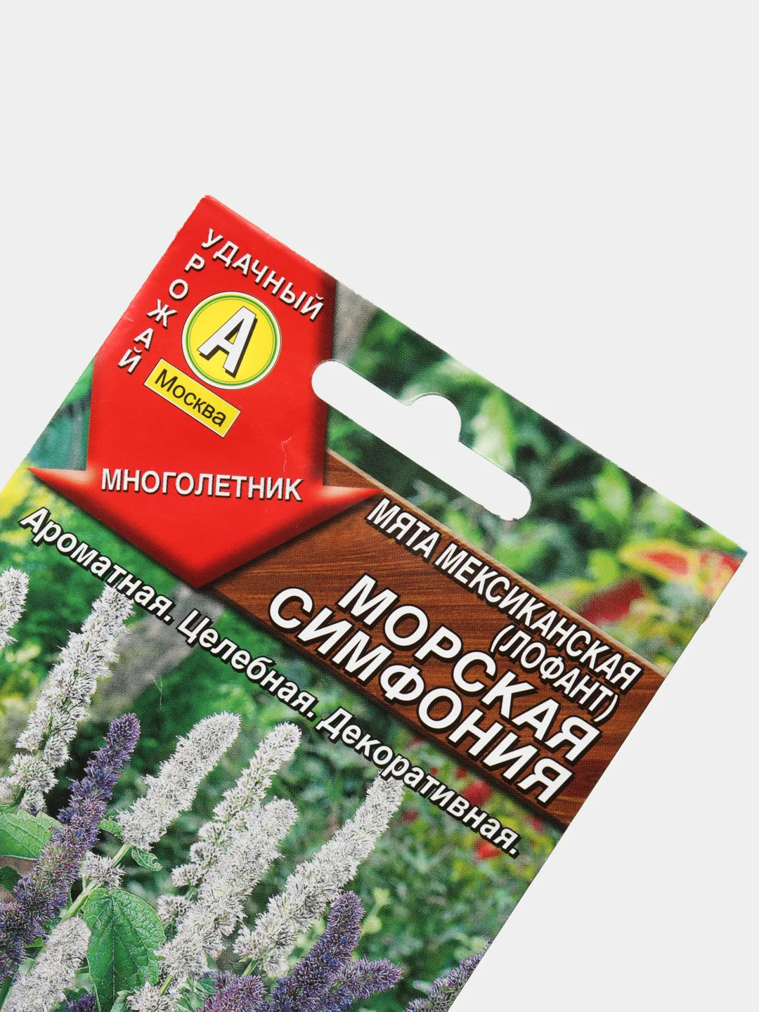 Мята Лофант Морская симфония (семена)