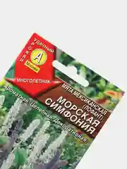 Мята Лофант Морская симфония (семена)