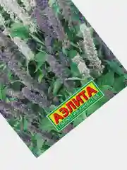 Мята Лофант Морская симфония (семена)