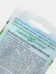 Семена цветы "Незабудка альпийская Виктория белая"