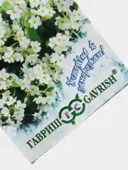 Семена цветы "Незабудка альпийская Виктория белая"