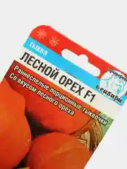 Семена Тыква "Лесной орех F1"