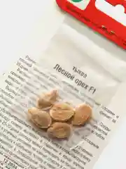 Семена Тыква "Лесной орех F1"