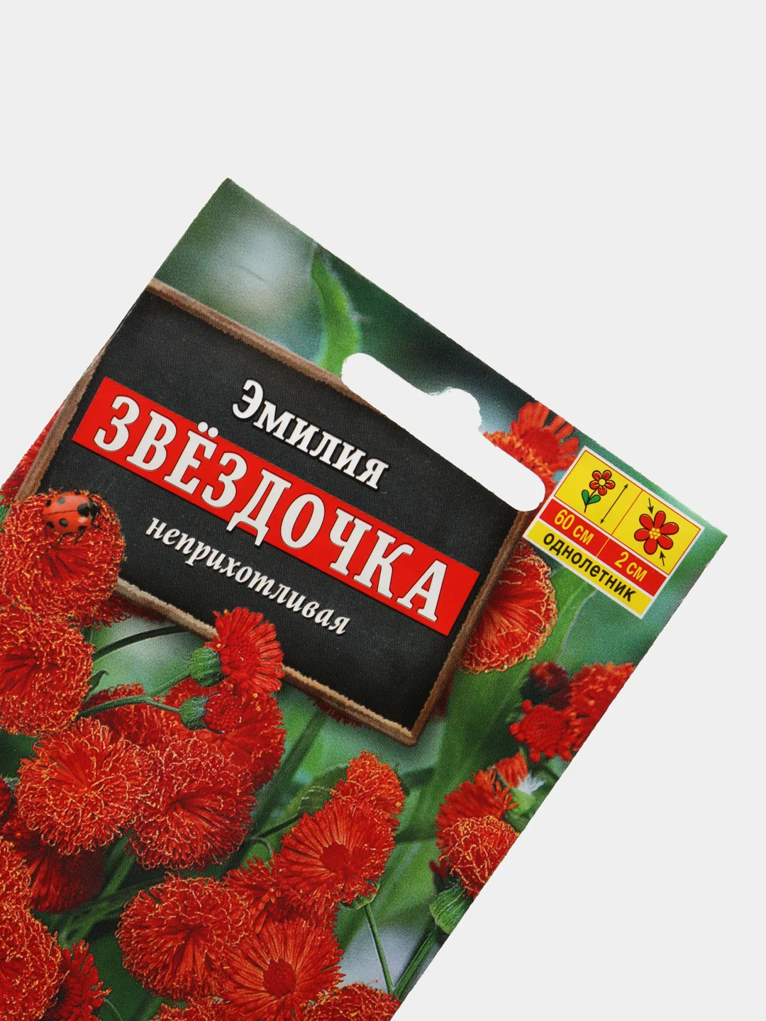 Семена цветы "Эмилия звездочка"
