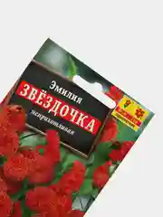 Семена цветы "Эмилия звездочка"