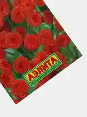 Семена цветы "Эмилия звездочка"
