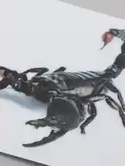 Черный наклейки на авто