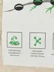 Улучшитель почвы EcoFlora
