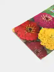 Семена Цинния "Калифорнийские великаны"
