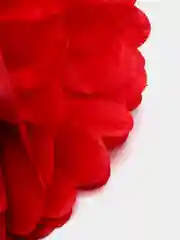 Красный бумажные шары "Помпоны-цветы", для декора