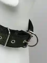 Оливковый ошейник для домашних животных, нейлоновый с подкладкой, разноцветные