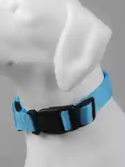 Голубой ошейник LED для собак и кошек светящийся, на батарейках