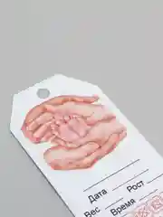 Бирка