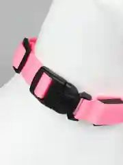 Розовый ошейник LED для собак и кошек светящийся, на батарейках