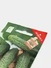 Семена Огурец "Вкус детства F1"