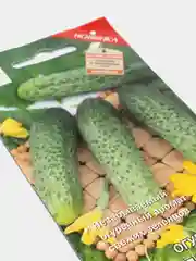 Семена Огурец "Вкус детства F1"