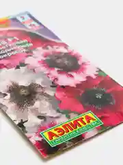 Петуния Летние кружева (семена,цветы)