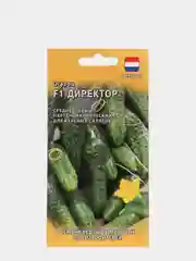 Огурец "Директор F1", Голландия