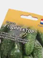 Огурец "Директор F1", Голландия