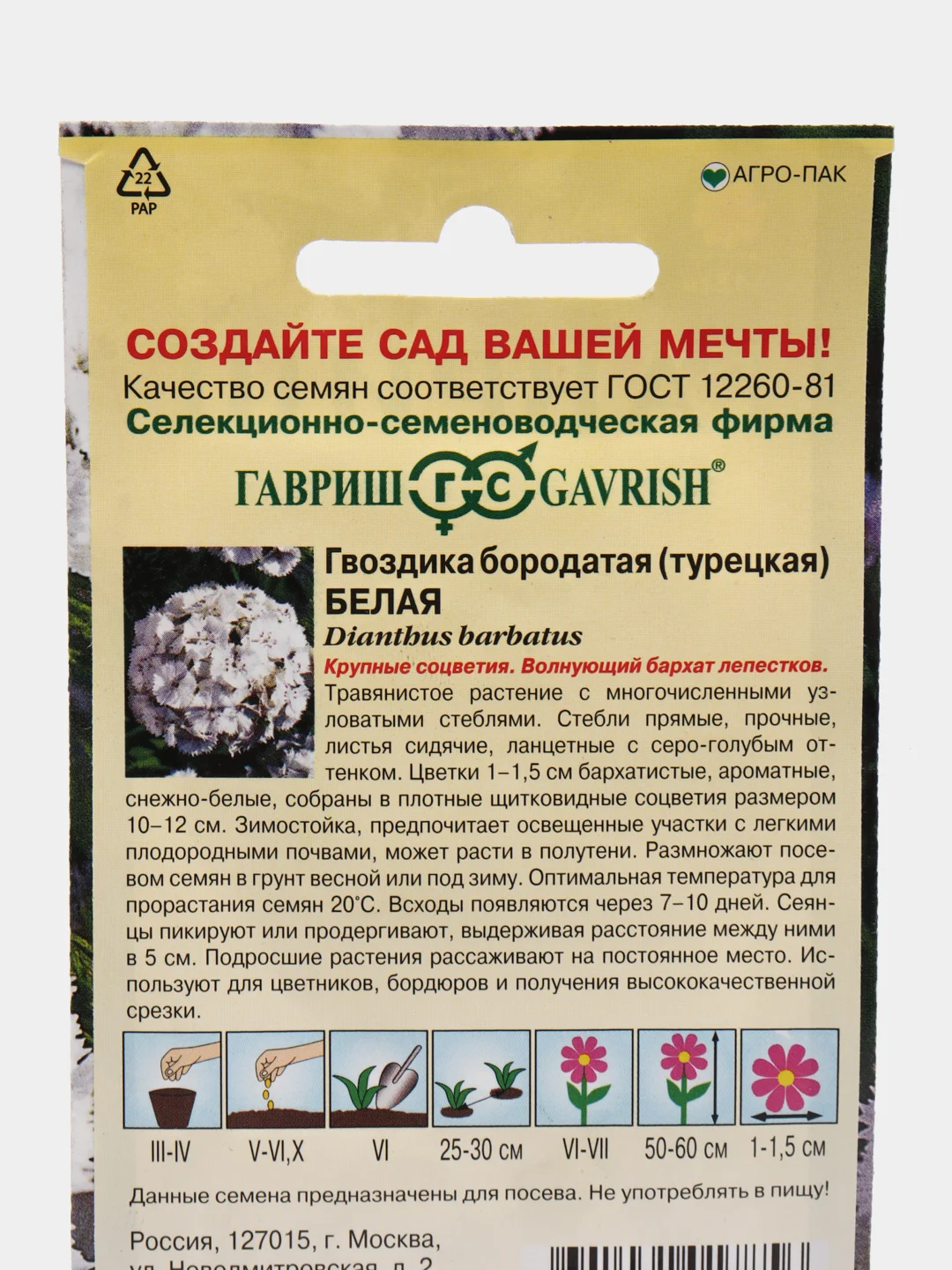 Гвоздика "Турецкая белая", семена, цветы