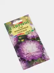 Астра "Изменчивая голубая", семена