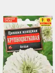 Цинния Крупноцветковая белая (семена,цветы)