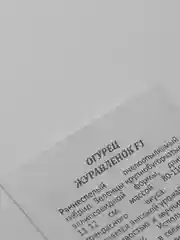 Семена Огурец "Журавленок" F1, раннеспелый, пчелоопыляемый, б/п, 0,2г (10217781)