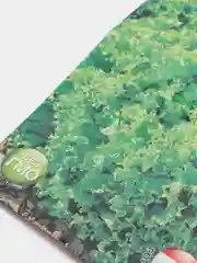 Семена Салат Лифли лист, 0,5 г (1094362)