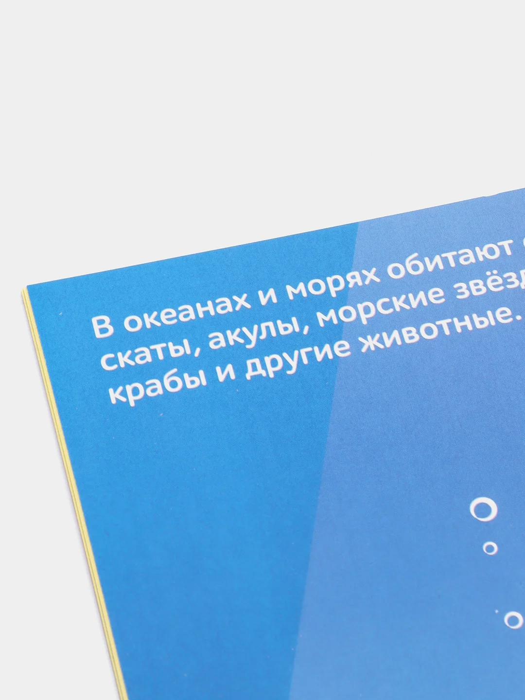 Красный книжки "250 наклеек"