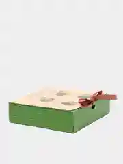 Салатовый коробки  подарочные "Для семьи"