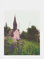 Картина  по номерам на холсте с подрамником 50 x 40 см "Каринтия, Австрия"