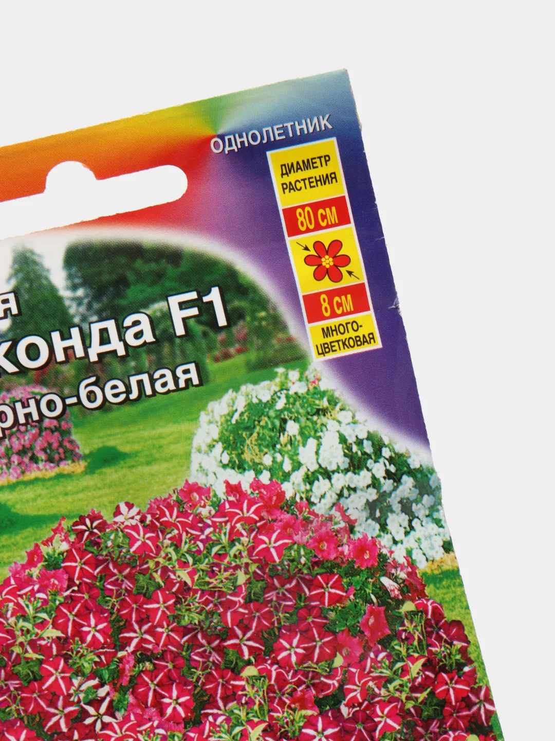 Петуния Джоконда пурпурно белая (семена,цветы)
