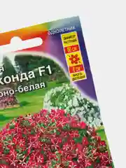 Петуния Джоконда пурпурно белая (семена,цветы)