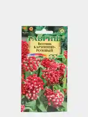 Семена цветов Ваточник "Карминно-розовый"