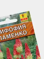 Книфофия Фламенко (семена,цветы)