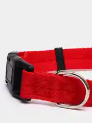 Красный ошейник для собак