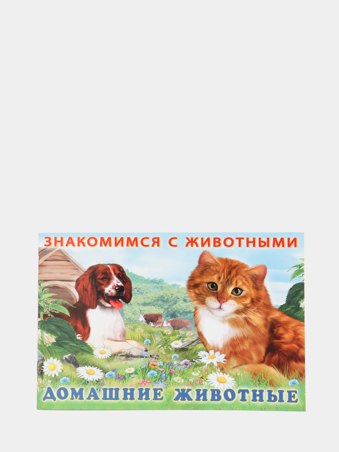 Багровый книга детская о животных