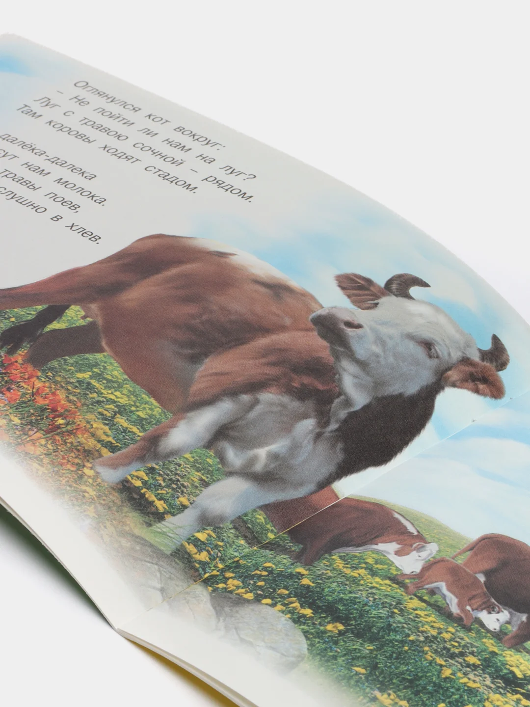 Багровый книга детская о животных