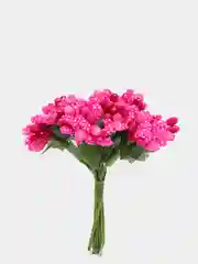 Фуксия тычинки с сахарными вставками. 12 штук