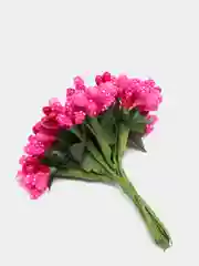 Фуксия тычинки с сахарными вставками. 12 штук