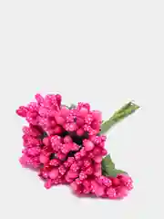 Фуксия тычинки с сахарными вставками. 12 штук