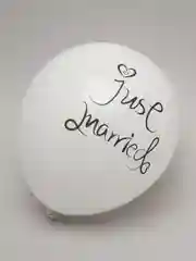 Серый воздушные шары Just Married Mr. & Mrs, праздник, день рождения