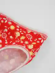 Красный детские трусы для девочек
