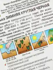 Семена Редька "Зимняя круглая черная", Лидер, 1 г